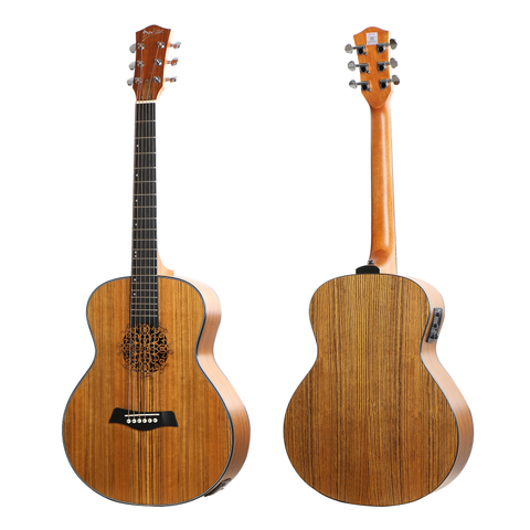 Deviser LS1 Electro Acoustic