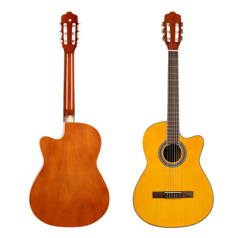Deviser L320 Classsic Guitar