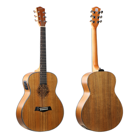 Deviser LS1 Electro Acoustic