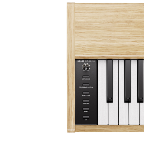 Donner DHP-100 Pro Digital Piano