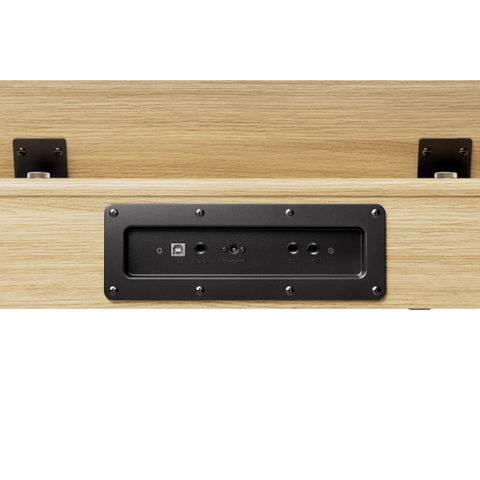 Donner DHP-100 Pro Digital Piano