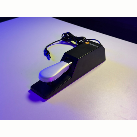 M-Audio sustain pedal