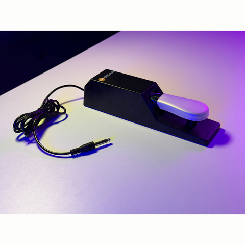 M-Audio sustain pedal