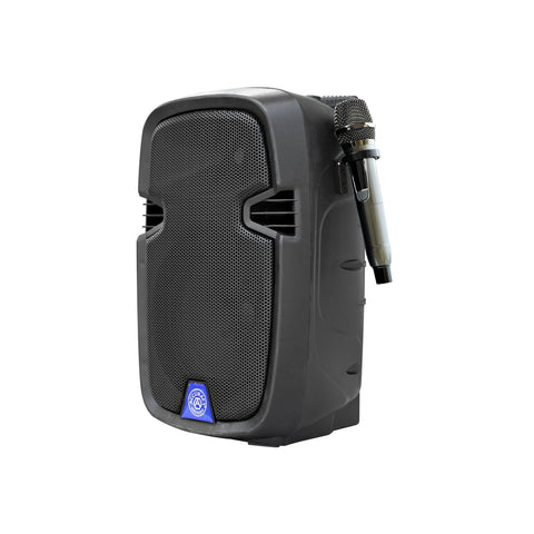 Accuracy Pro Audio PMLT 10