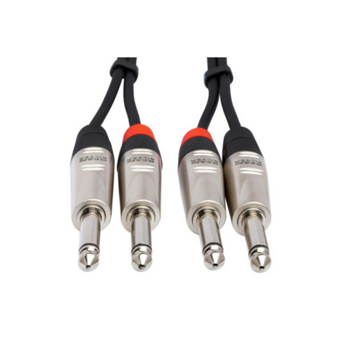 HOSA REAN DUAL 1/4 TS M TO SAME