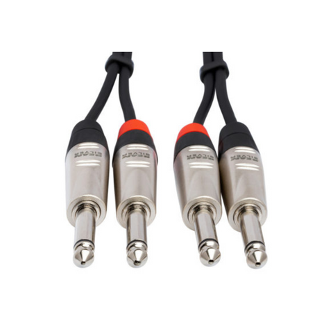 HOSA REAN DUAL 1/4 TS M TO SAME